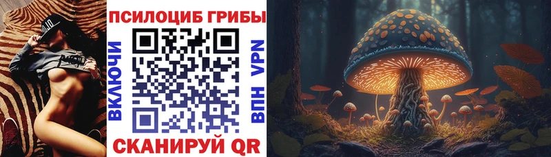 Галлюциногенные грибы Psilocybine cubensis  Курганинск 